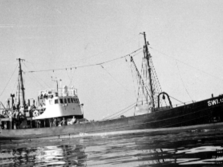 Trawler typu B17, obok  B11 stanowił w latach 1951 - 1955 główną produkcję Stoczni Północnej